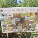 Aves en el refugio de fauna de los Charcones de Miguel Esteban (Toledo)